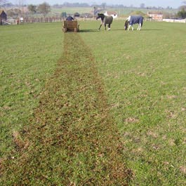 Elite Spreader