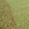 Shredded material dries out quickly