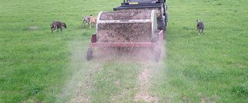 Spreaded Manure